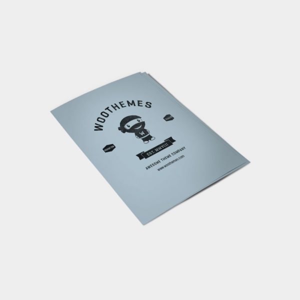 پوستر آبی نینجا - Image 2